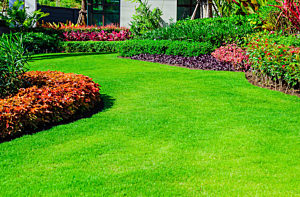 Lawns & Softscapes